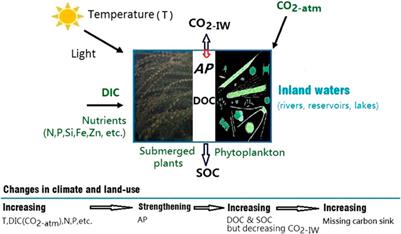 Increasing Autochthonous Production in Inland Waters as a Contributor to the Missing Carbon Sink